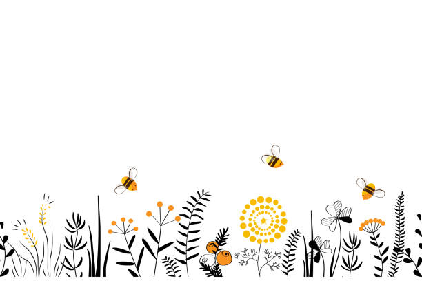 illustrations, cliparts, dessins animés et icônes de fond de nature sans soudure de vecteur avec les herbes sauvages dessinées à la main, les fleurs et les feuilles sur le blanc. illustration florale de style doodle. - fleur flore