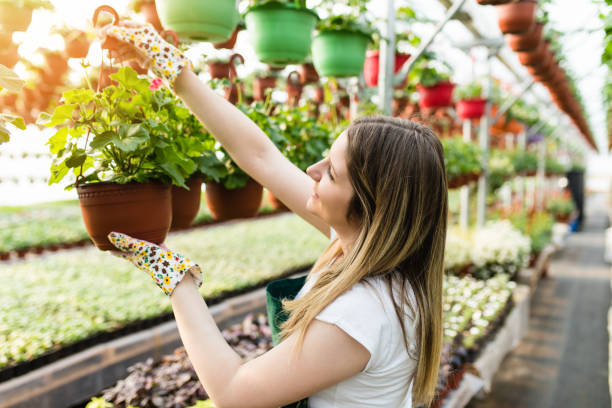 istock Woman working in greenhouse 1141721781