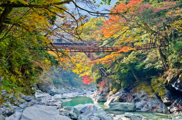 el valle de iya y el puente de vid kazurabashi - shikoku fotografías e imágenes de stock