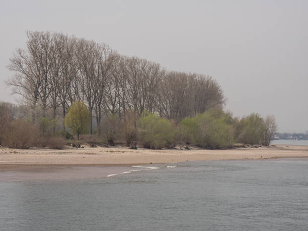istock the river rhine in germany 1141728355