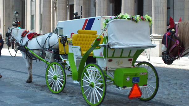 A horse-drawn carriage on the street in Old Montreal Montreal, Quebec, Canada, July 31, 2013: A horse-drawn carriage on the street in Old Montreal, Quebec. caleche stock pictures, royalty-free photos & images