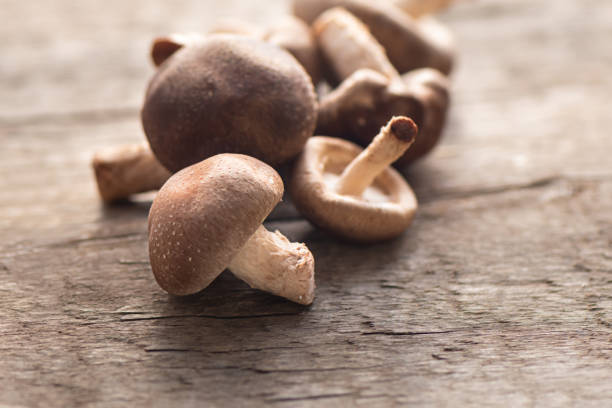 istock Shiitake mushroom on wooden table, close up. 1141729943