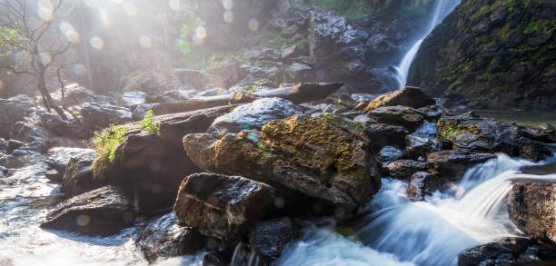 istock Picturesque primary waterfall on summer morning. 1141731808