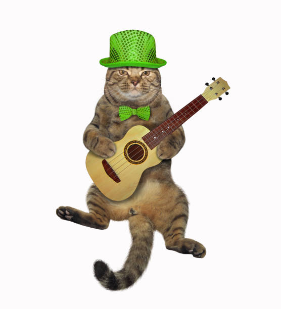 istock Cat playing the guitar 2 1141732460