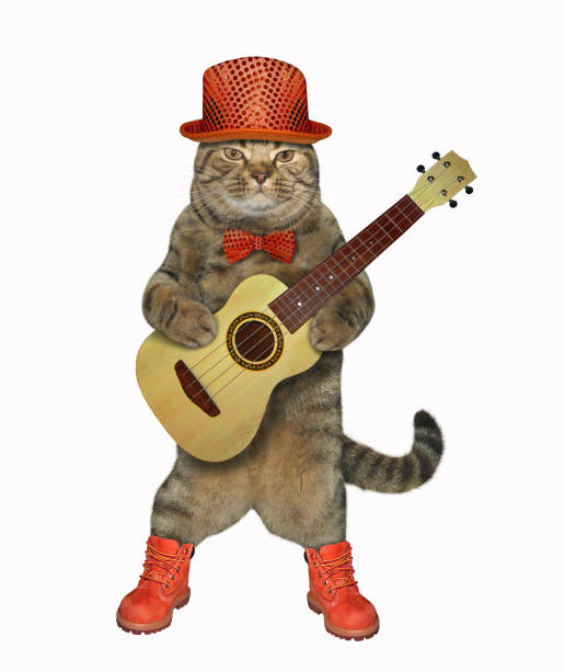 istock Cat plays the guitar in red 1141732462