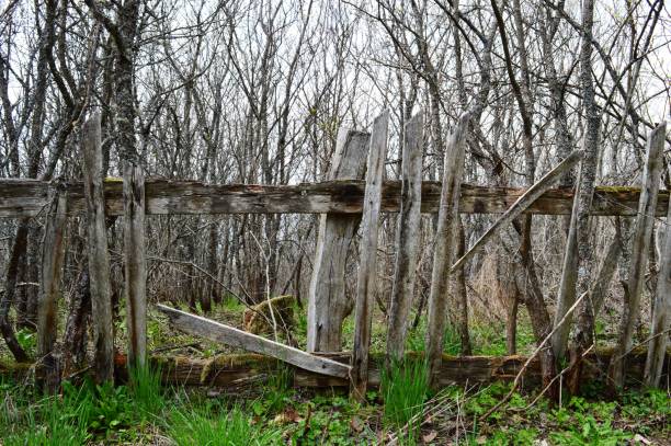 istock an old wooden fence 1141737379
