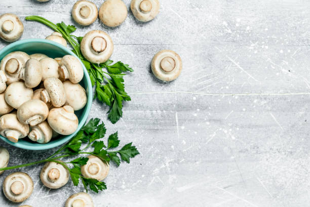 istock Ripe mushrooms in a bowl with foliage. 1141737788