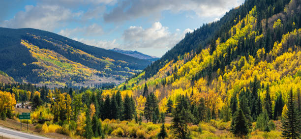 briljante gouden herfst aspen bomen in vail colorado - vail eagle county colorado stockfoto's en -beelden