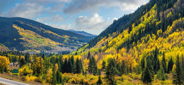 árvores douradas brilhantes de aspen do outono em vail colorado - colorado road mountain landscape - fotografias e filmes do acervo