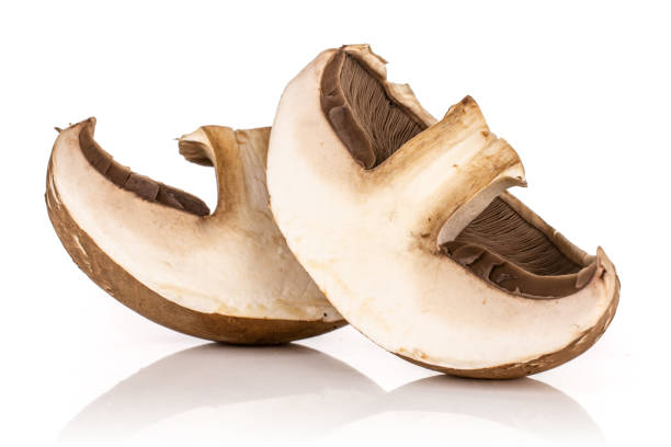 Brown bortobello mushroom isolated on white stock photo