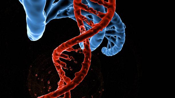 istock DNA research molecule. 3D illustration. Analysis of structure human genome 1141749853
