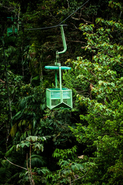 istock cable car at the gamboa rainforest national park, panama 1141751289