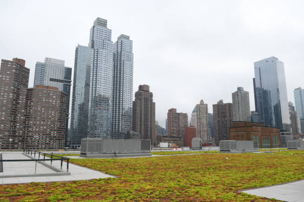 istock New York City Manhattan view 1141751377
