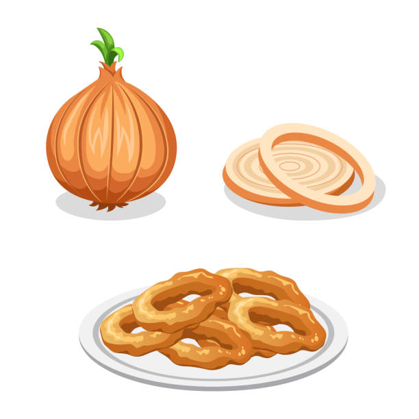 onion onion and cooked ring fried onion rings stock illustrations