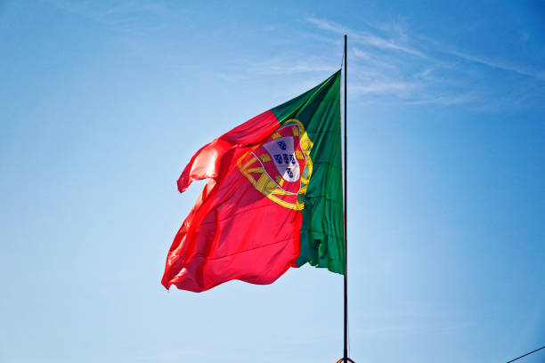 istock Portuguese National flag 1141752118