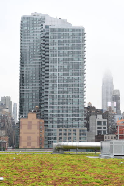 istock New York City Manhattan view 1141753183