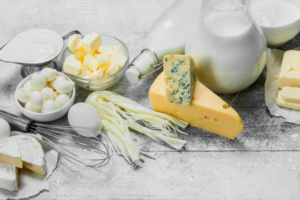 istock huge range of dairy products. 1141753438