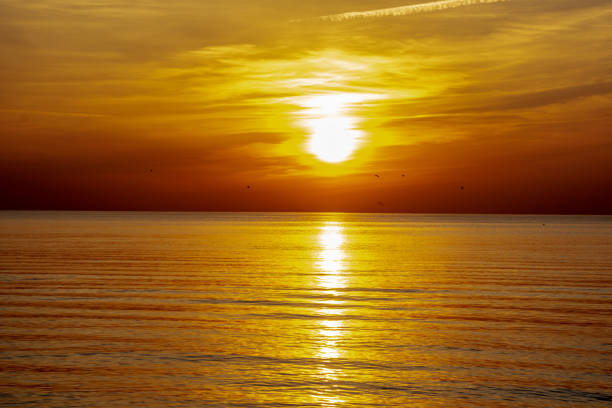 istock orabge colored sunset over calm sea beach water fields 1141755623