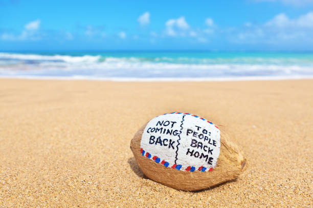 Coconuts with an engraving in the sand