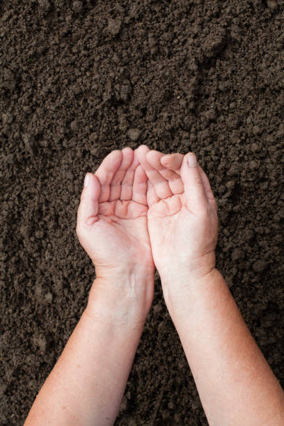 istock human female hands on brown soil background 1141757791