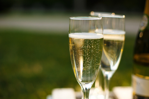 Glasses with champagne on green blurred background. Outdoors picnic weekends.