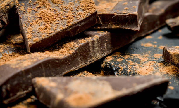istock Chocolate slices sprinkled with cocoa powder. 1141759317