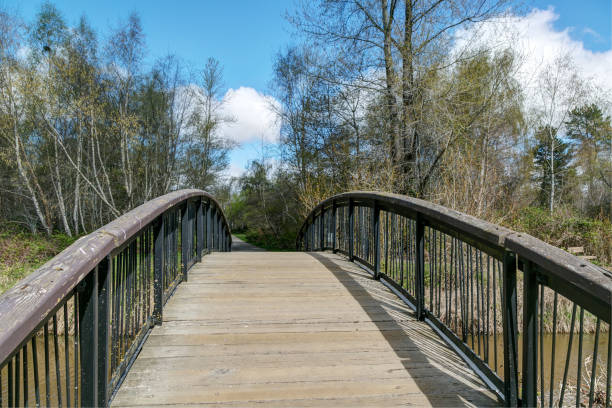 istock wooden bridge in a park in spring 1141760067