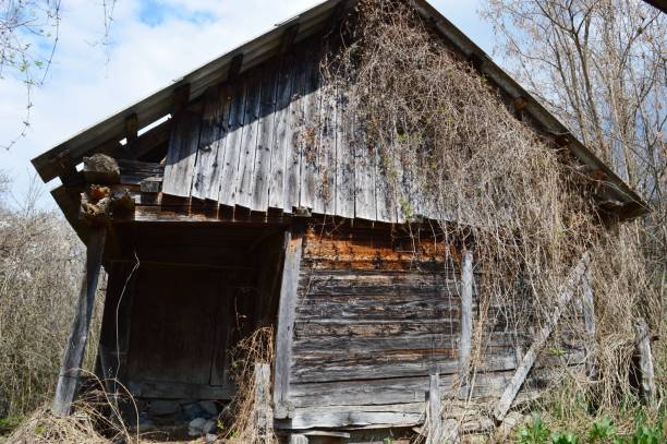 istock an old wooden house 1141760373