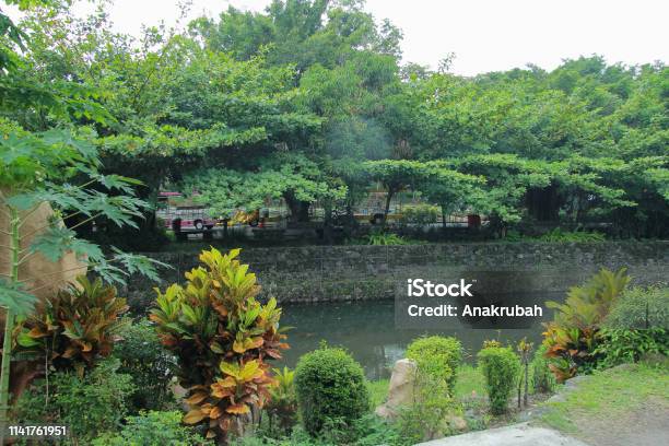 Embankment And River In Gembiraloka Zoo Stock Photo - Download Image Now - Animal, Animals In Captivity, Brown