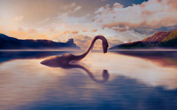 ilustraciones, imágenes clip art, dibujos animados e iconos de stock de el monstruo del lago ness mira su reflejo en el agua. - loch ness