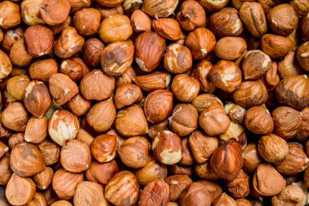 istock The texture of the shelled hazelnuts. 1141766874