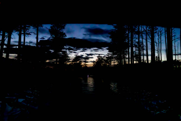 Okefenokee swamp with remnant of sunset after dark; boat light in distance. Deep blue sky, silhouette of forest, fading orange light.