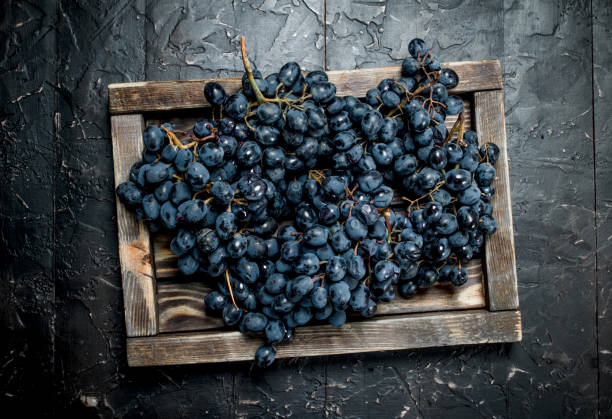 istock Black grapes on a wooden tray. 1141771937