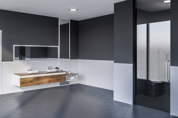 istock Double bathroom sink and shower 1141778913