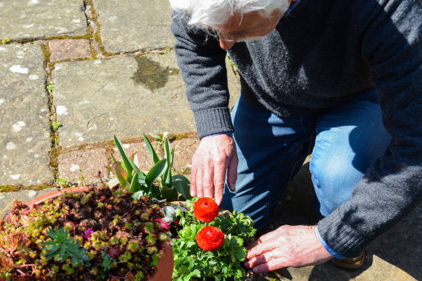 istock Mature man tending to plants 1141781104