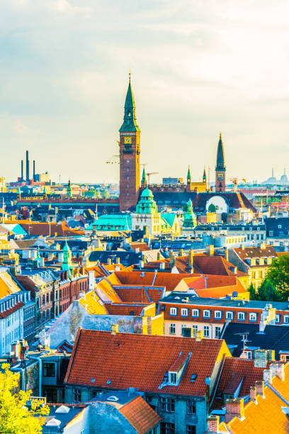 istock Aerial view of copenhagen 1141781871