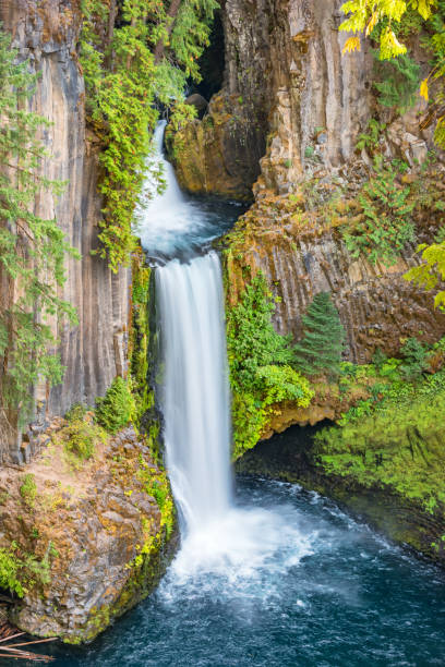 istock Toketee Falls in Oregon USA 1141781975
