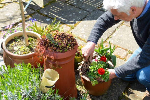 istock Mature man tending to plants 1141782046