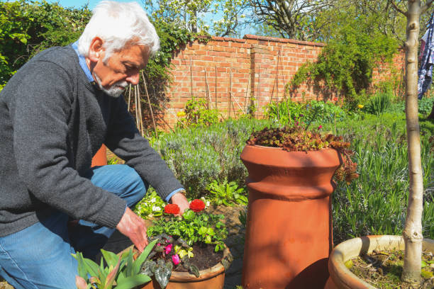 istock Mature man tending to plants 1141785006