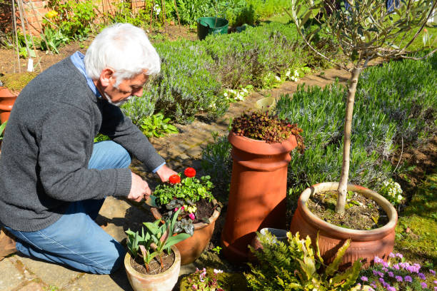 istock Mature man tending to plants 1141785973