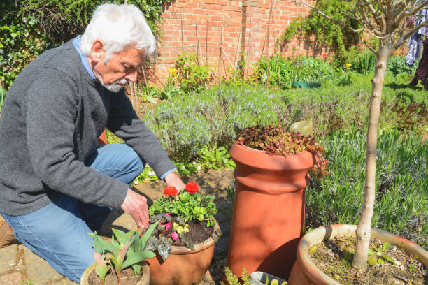 istock Mature man tending to plants 1141786113