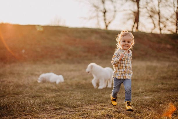 istock Happy girl playing with dogs 1141786162