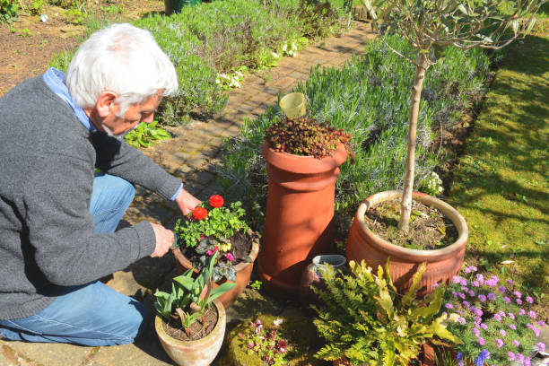 istock Mature man tending to plants 1141786390
