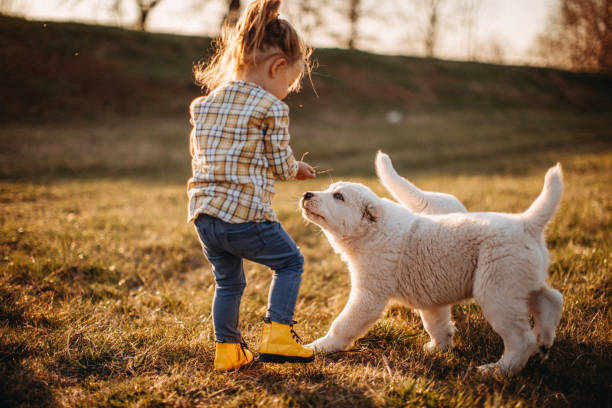 istock Catch me if you can 1141786941