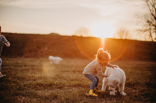 Girl playing with albai dog in meadow