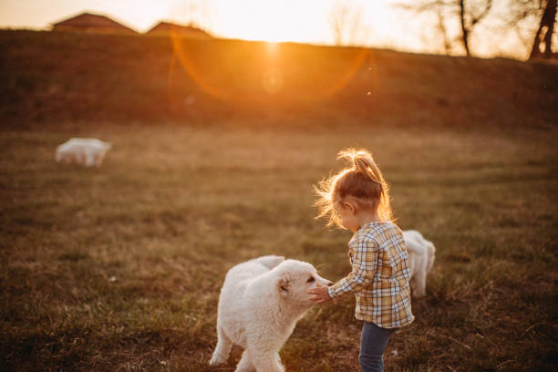 istock We are little cute friends 1141787130