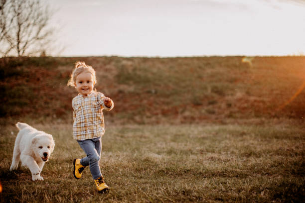 Girl playing with albai dog in meadow, having fun