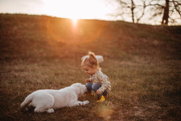 istock Smiled and happy with my puppies 1141788438