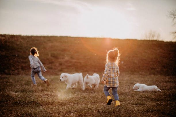 Girl playing with albai dog in meadow, having fun