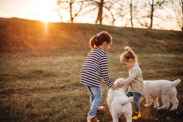 istock Kids playing with alabai dog 1141788586